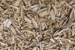 biomass boilers Coolhurst Wood